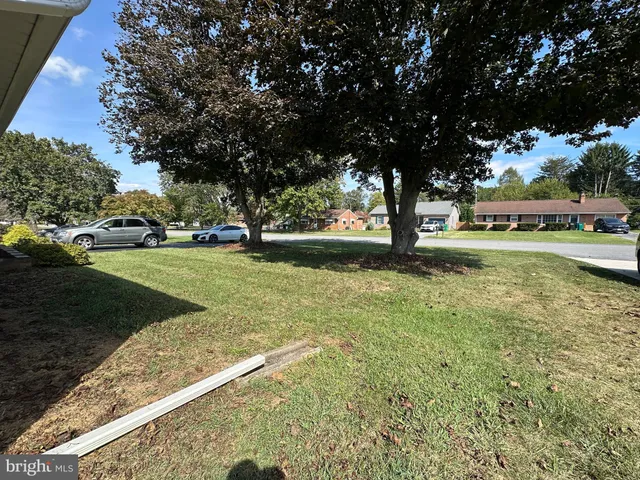 a view of a yard with table and chairs and a large tree