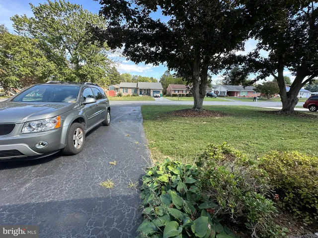 a view of a big yard with potted plants and large tree