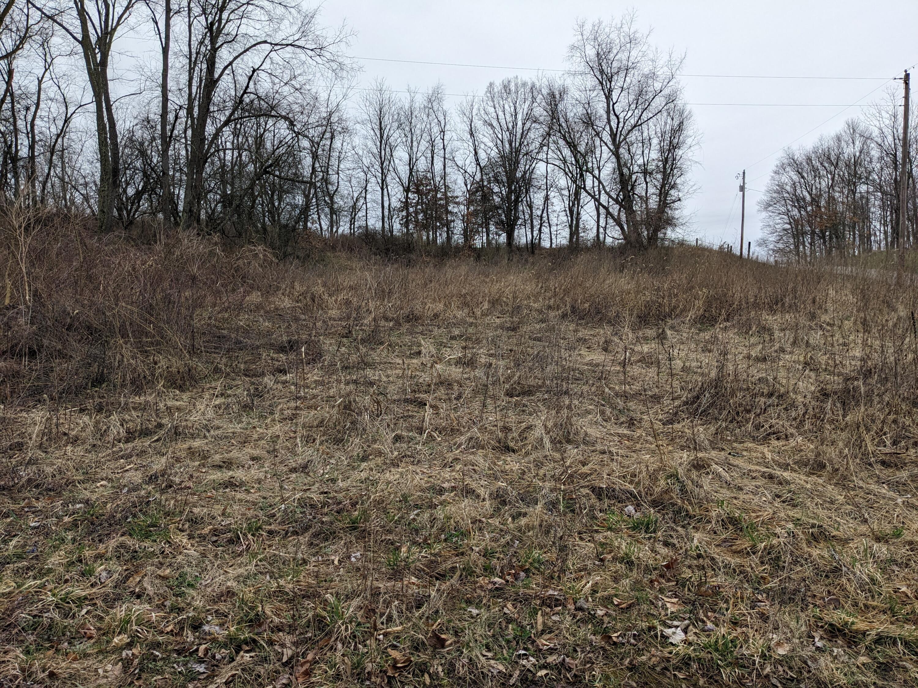 25140 Weber Road Howard, OH 43028 - Photo 3 of 22 3