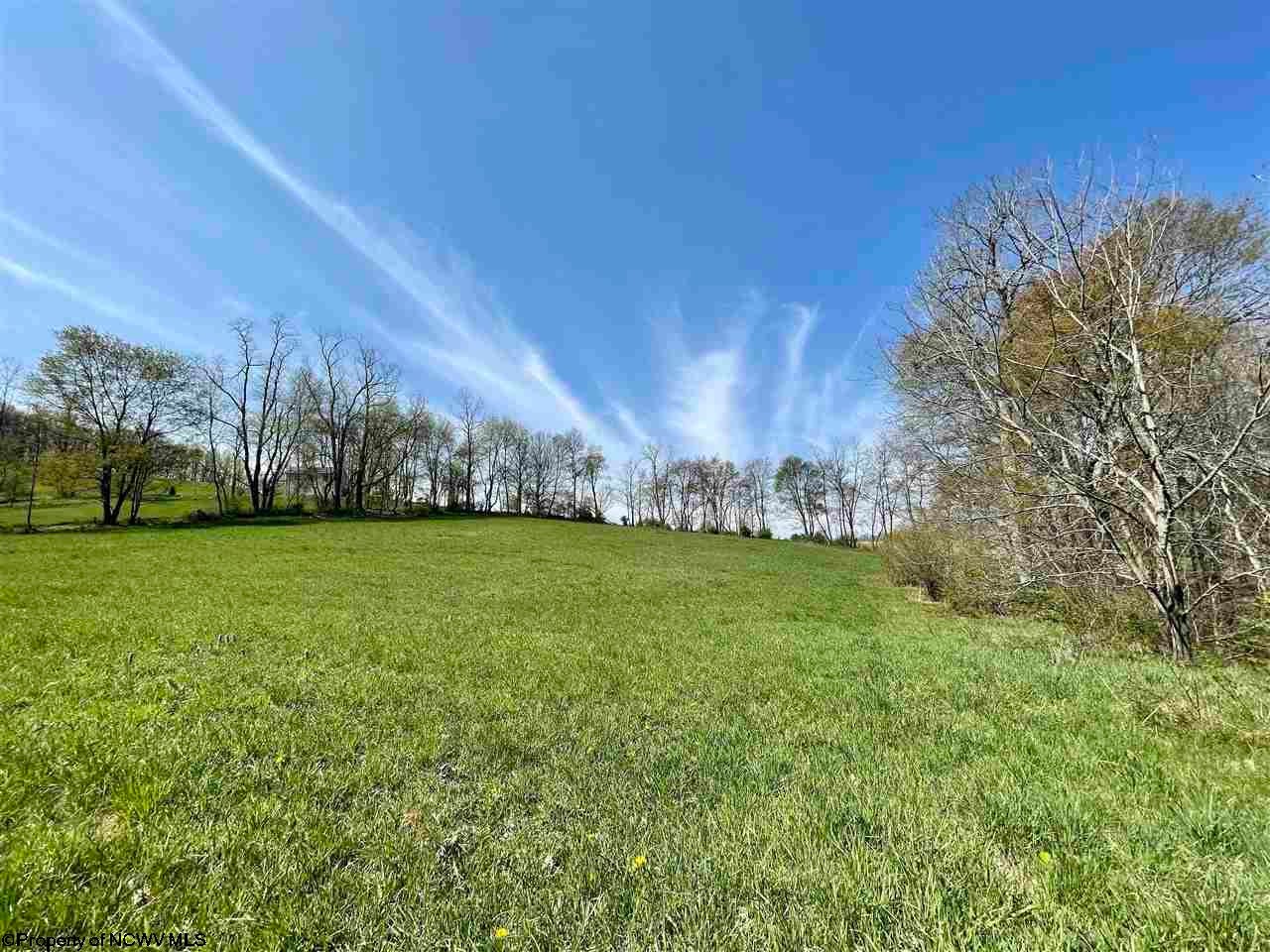 4.52-ac Little Sandy Road Albright, WV 26519 - Photo 9 of 18 Gallery Image 9