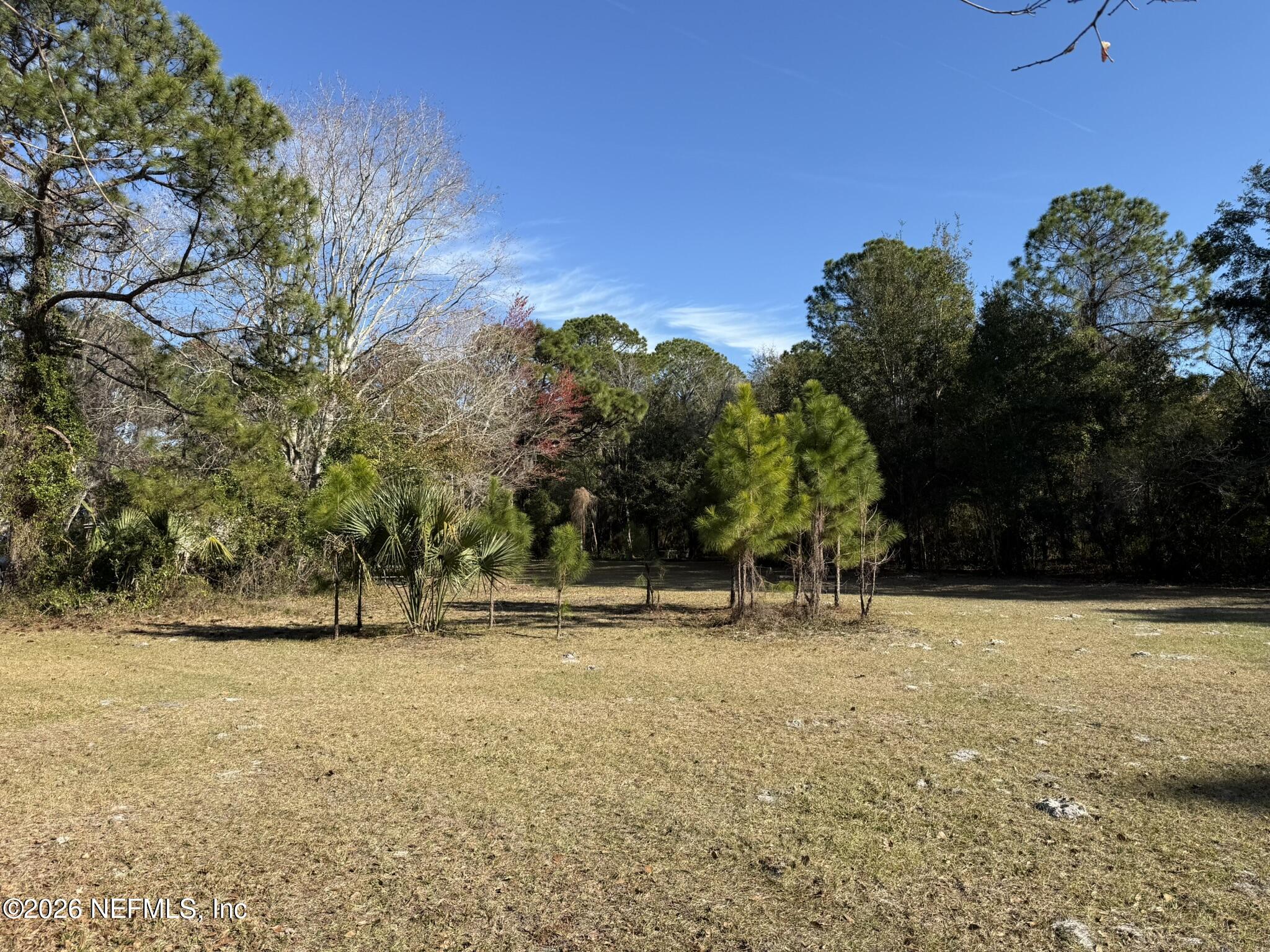95291 Alligator Creek Road Fernandina Beach, FL 32034 - Photo 18 of 27 a backyard of a house with lots of green space