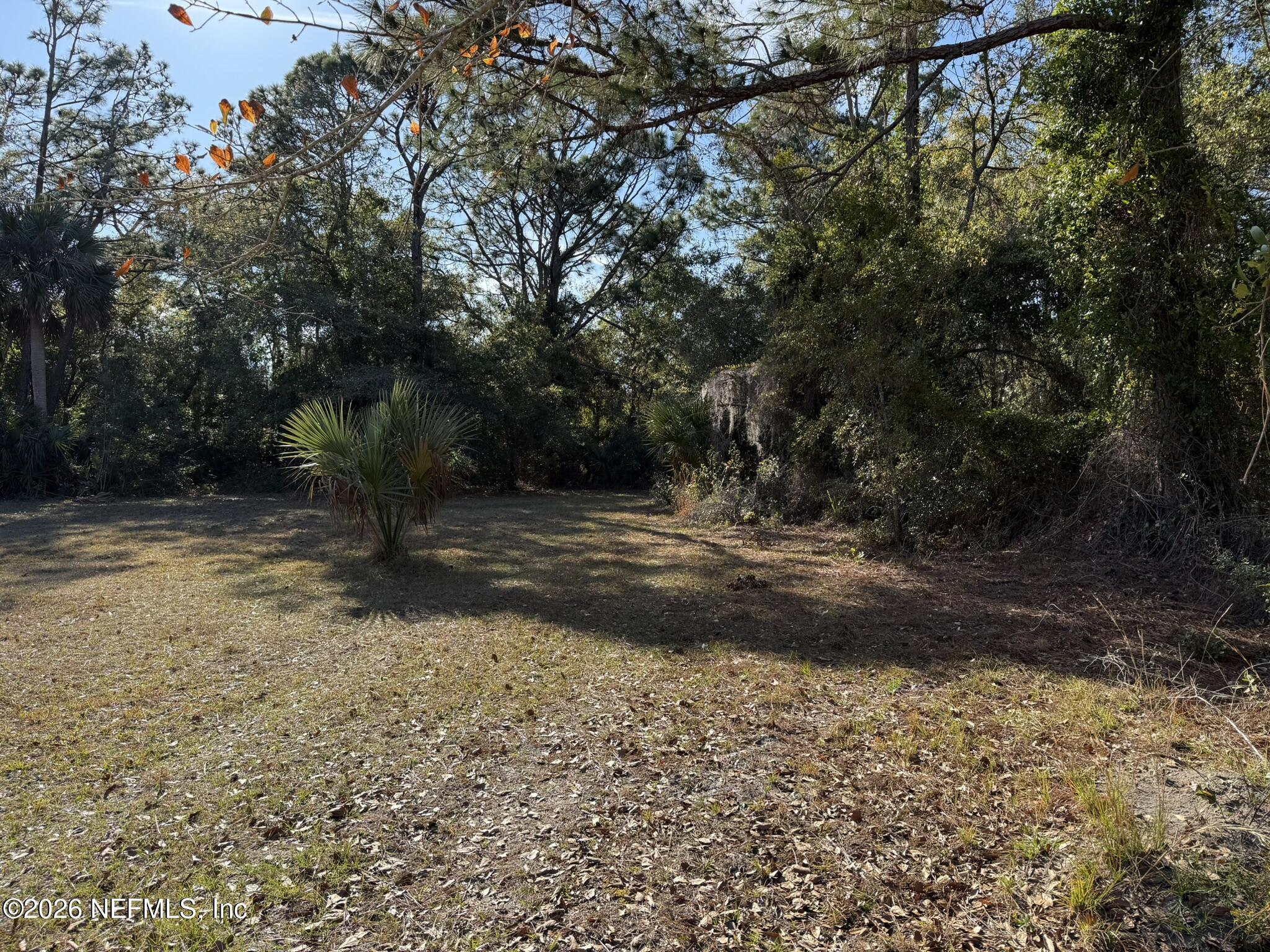 95291 Alligator Creek Road Fernandina Beach, FL 32034 - Photo 19 of 27 a view of backyard space and trees