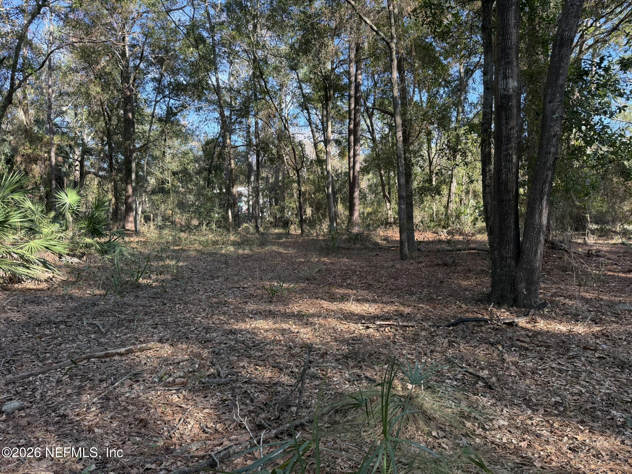 95291 Alligator Creek Road Fernandina Beach, FL 32034 - Photo 21 of 27 a view of outdoor space with trees