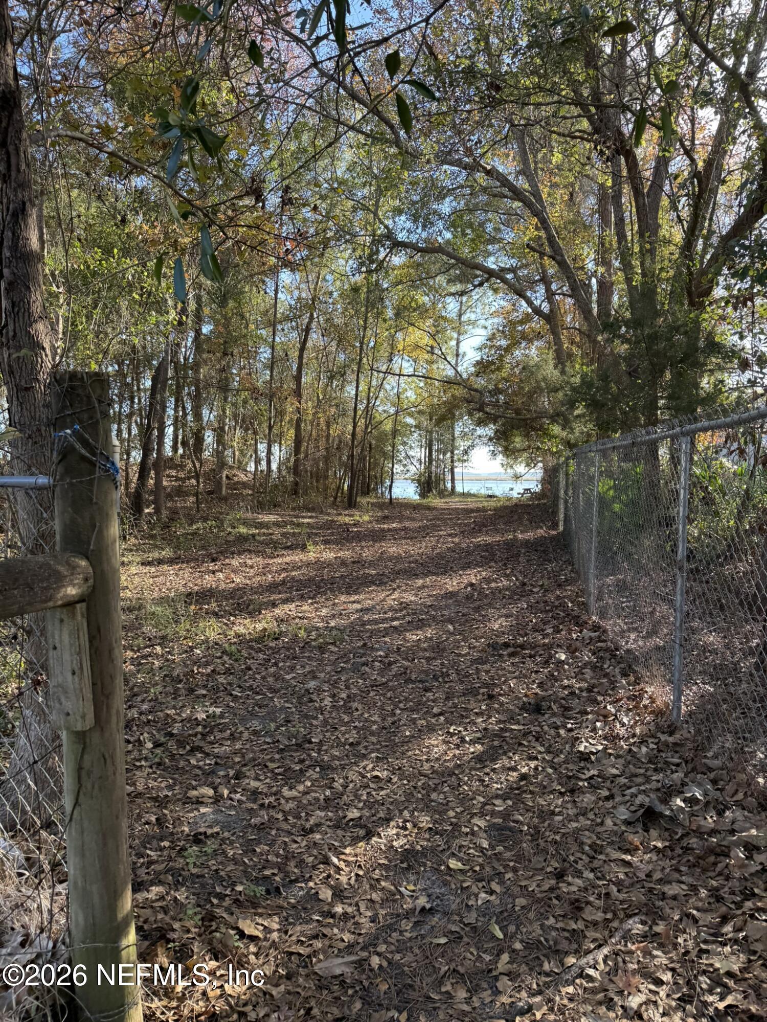 95291 Alligator Creek Road Fernandina Beach, FL 32034 - Photo 25 of 27 a view of dirt yard with large trees