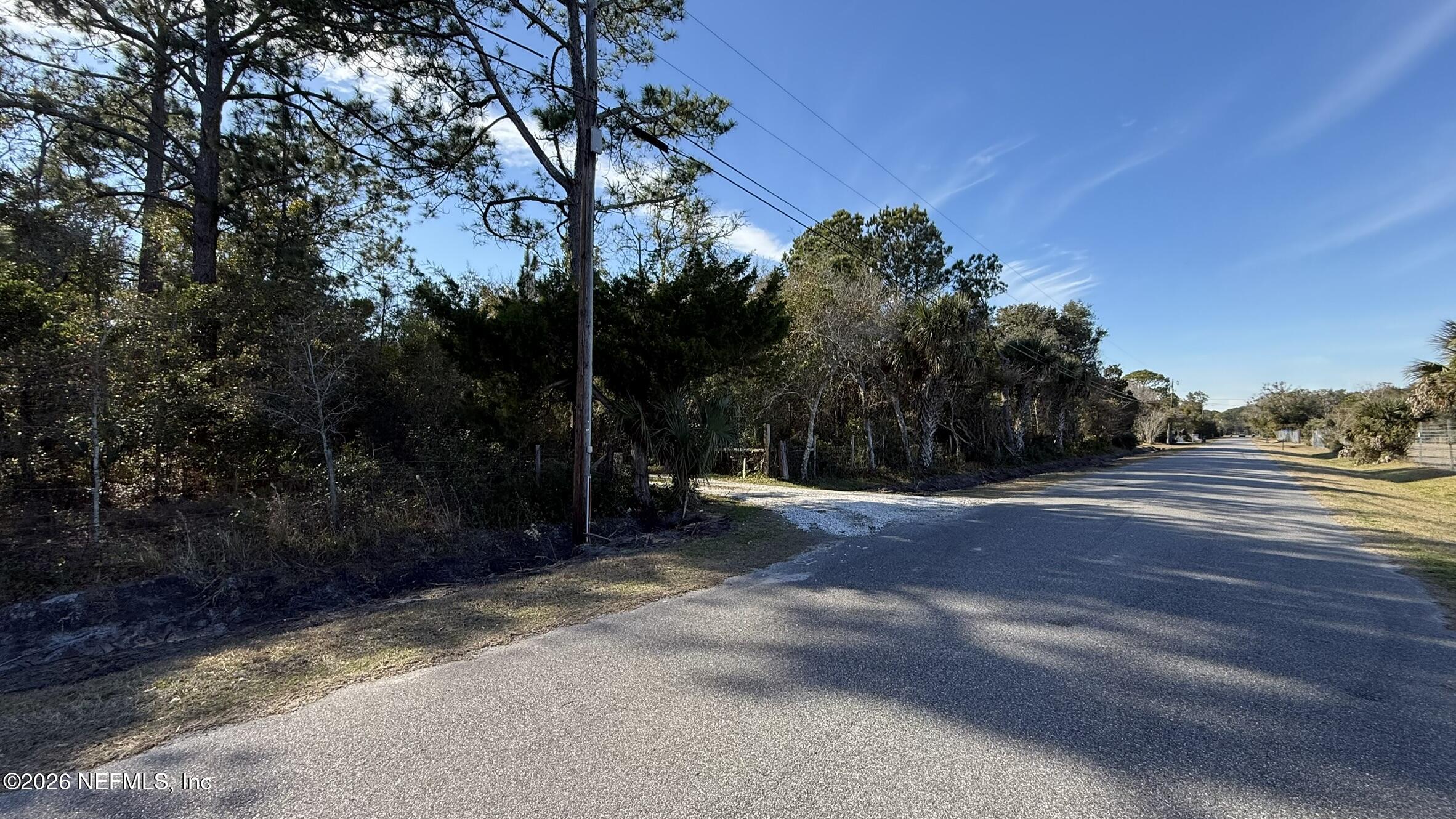 95291 Alligator Creek Road Fernandina Beach, FL 32034 - Photo 4 of 27 a view of a yard with large trees