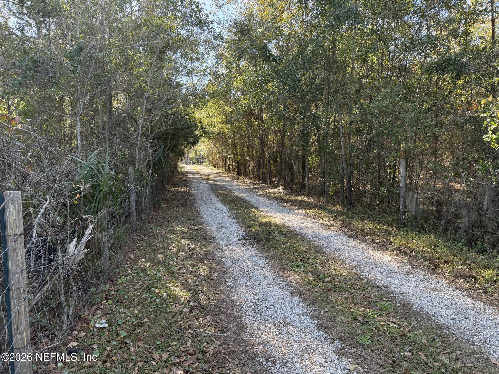 95291 Alligator Creek Road Fernandina Beach, FL 32034 - Photo 5 of 27 a view of a yard with trees