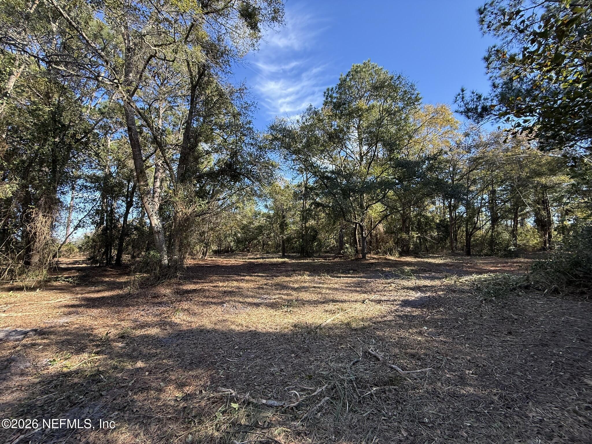 95291 Alligator Creek Road Fernandina Beach, FL 32034 - Photo 6 of 27 a view of a yard with a tree