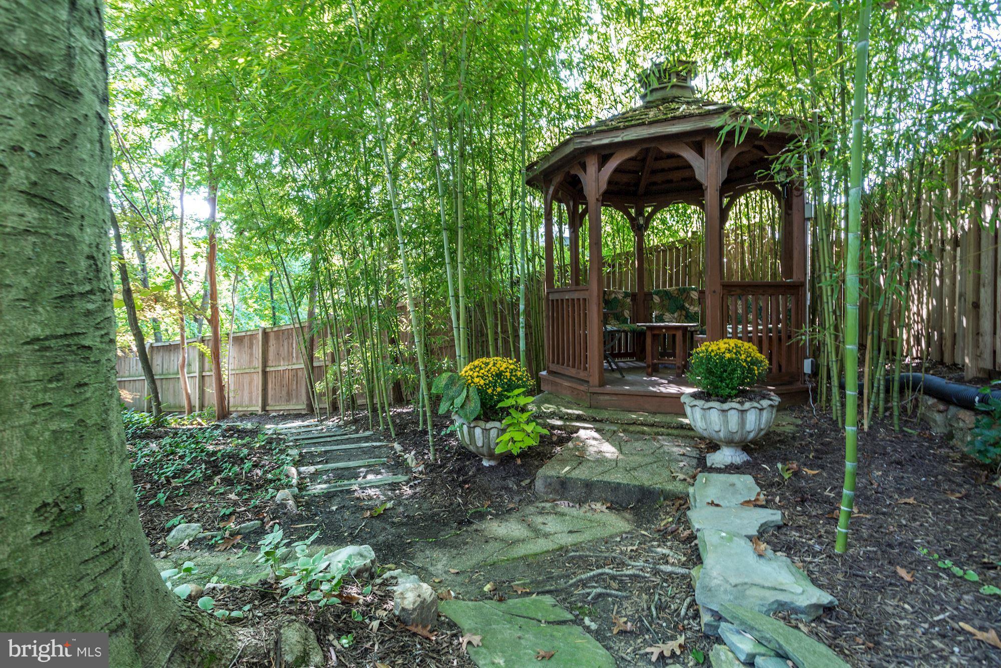 4518 30th Street Northwest Washington, DC 20008 - Photo 28 of 30 Exterior (Rear)