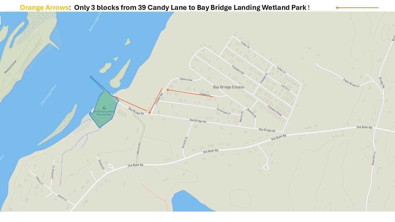 39 Candy Lane Brunswick, ME 04011 - Photo 58 of 58
