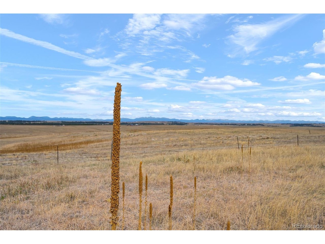1 County Road 94 Elbert, CO 80106 - Photo 19 of 33 a view of a city