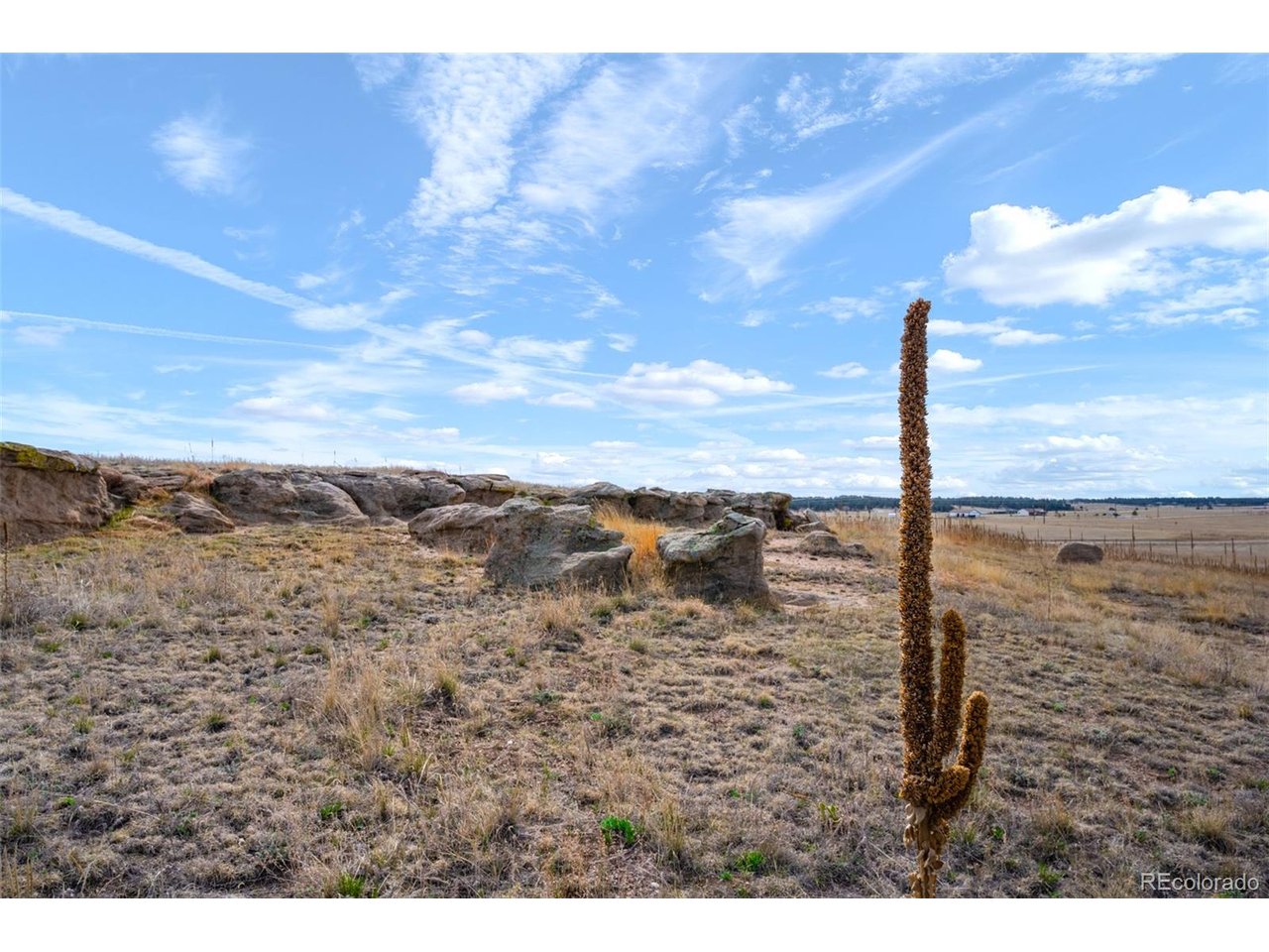 1 County Road 94 Elbert, CO 80106 - Photo 21 of 33 a view of a dry yard with wooden fence