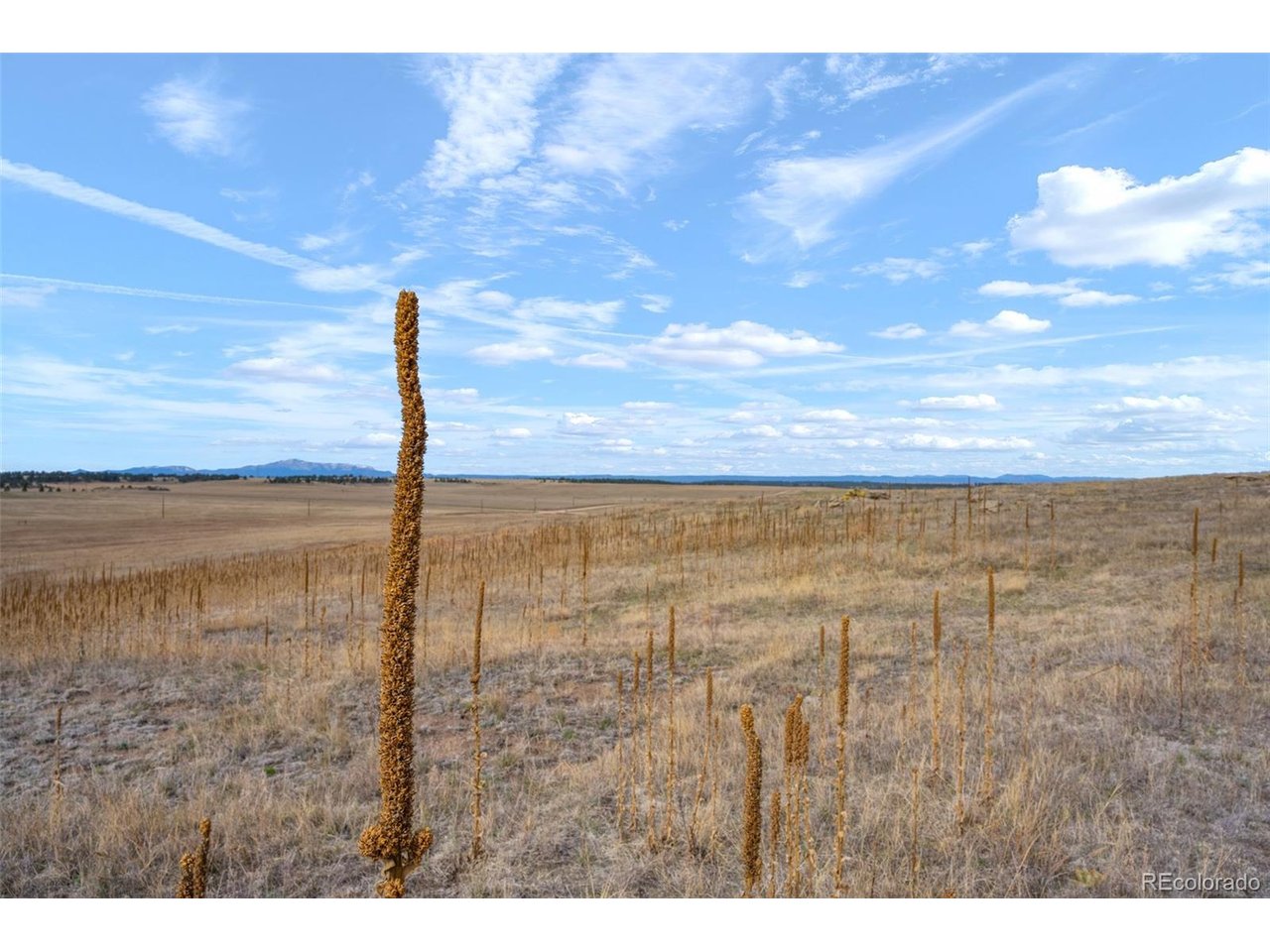 1 County Road 94 Elbert, CO 80106 - Photo 22 of 33 a view of an ocean