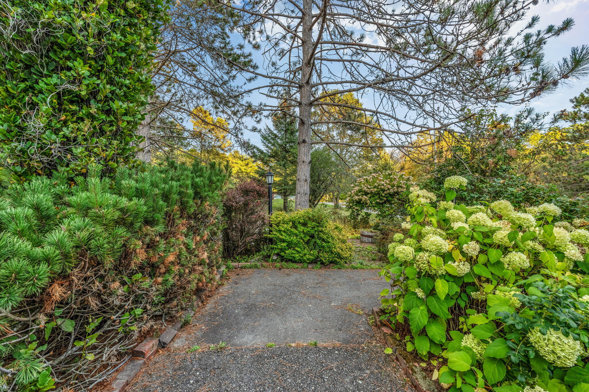 207 Finson Road Bangor, ME 04401 - Photo 8 of 59 17-web-or-mls-207-finson-rd