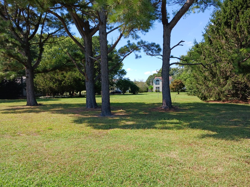 Lot 14 Southwind Road, Unit 14 Atlantic, VA 23303 - Photo 3 of 4