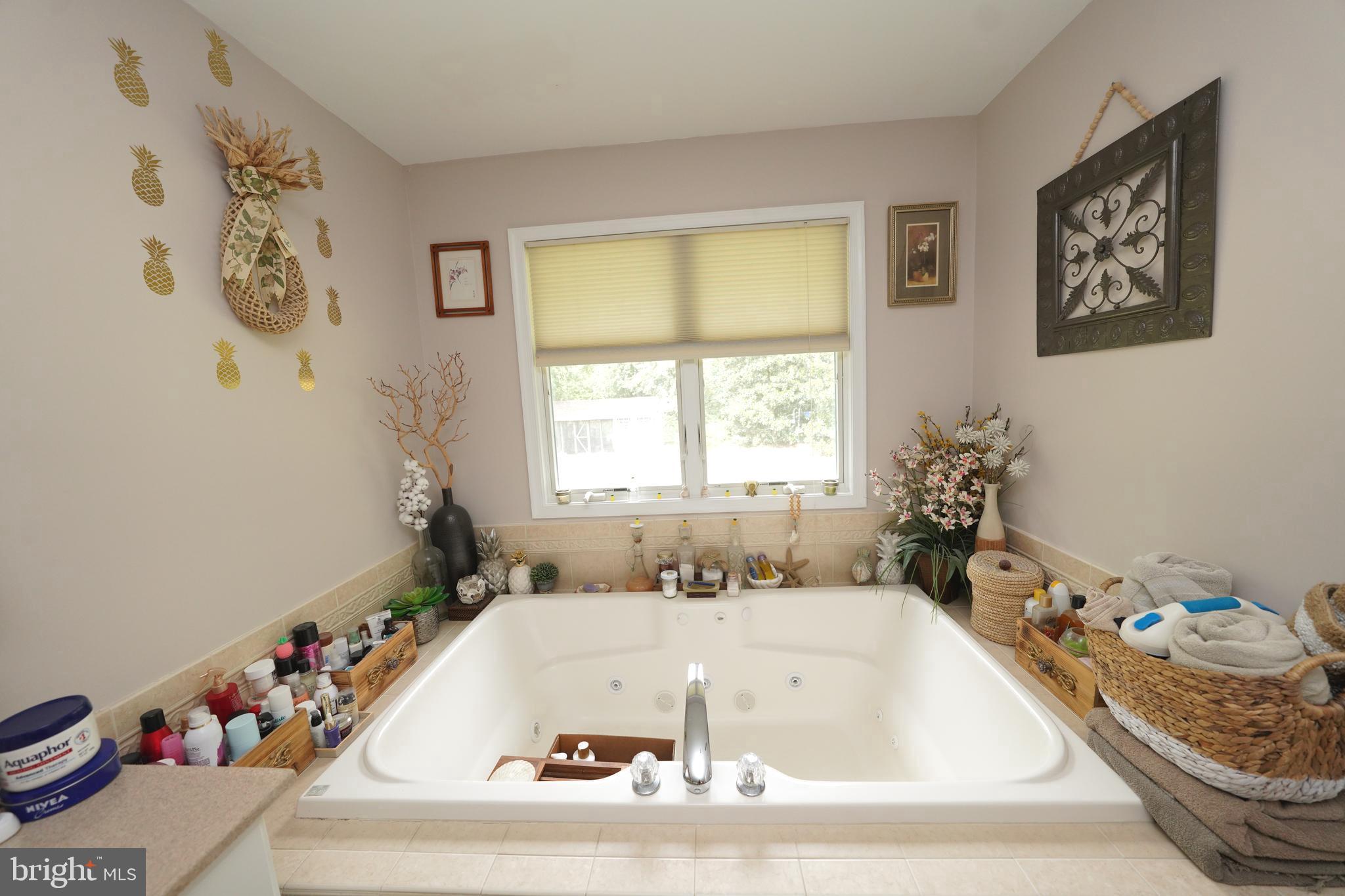 408 Laurens Way Queen Anne, MD 21657 - Photo 49 of 68 a bath tub sitting in a bathroom next to a window