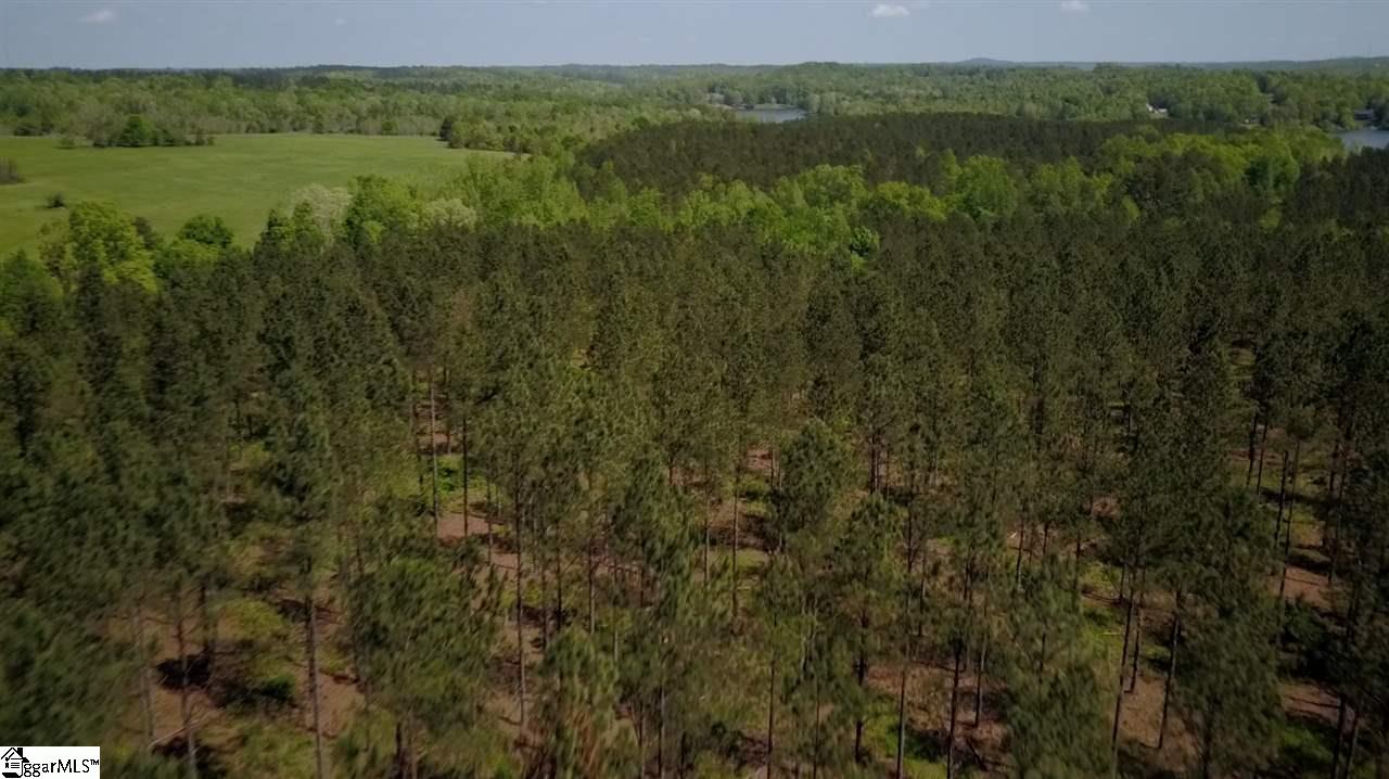 525 Johnson Road, Unit TRACT A 3 Laurens, SC 29360 - Photo 7 of 8