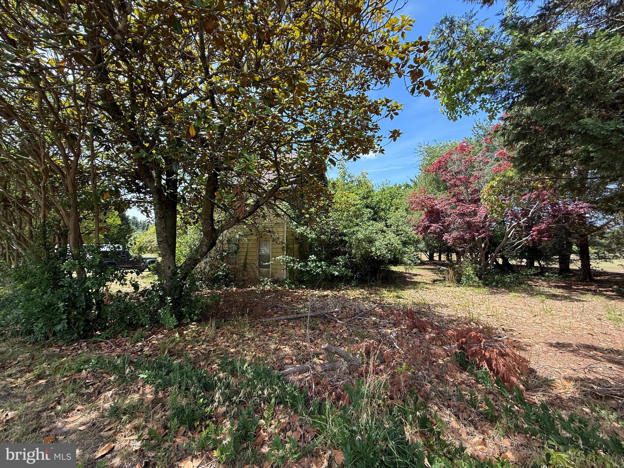 4506 Tyaskin Road Tyaskin, MD 21865 - Photo 23 of 39 right side of house
