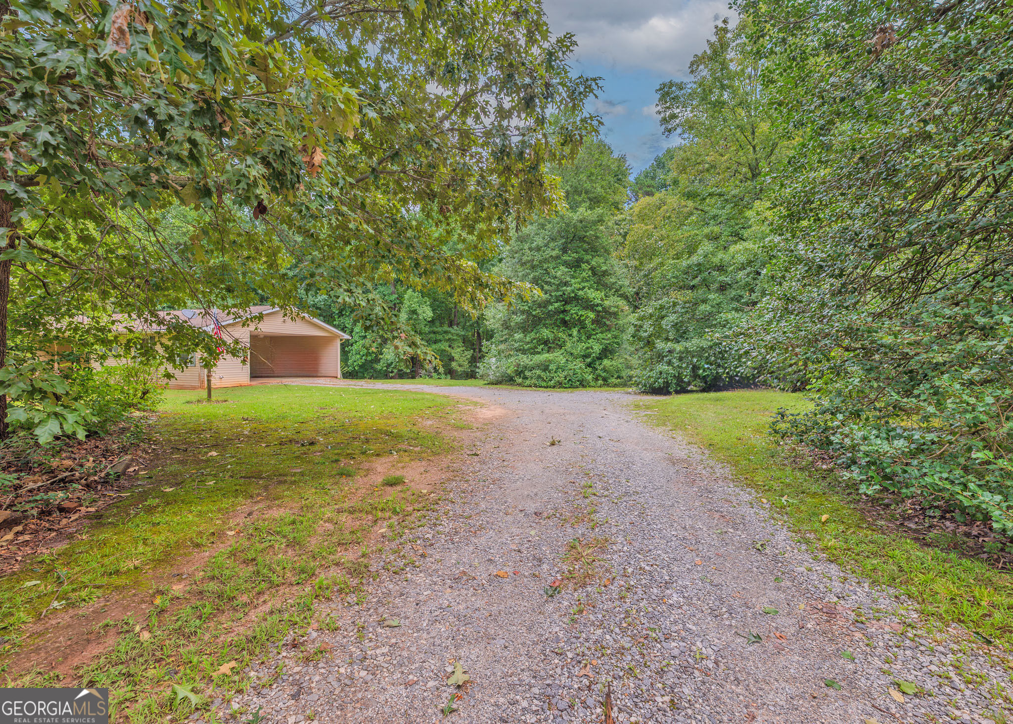 1524 Welcome Home Road Mount Airy, GA 30563 - Photo 9 of 42 driveway leading to home