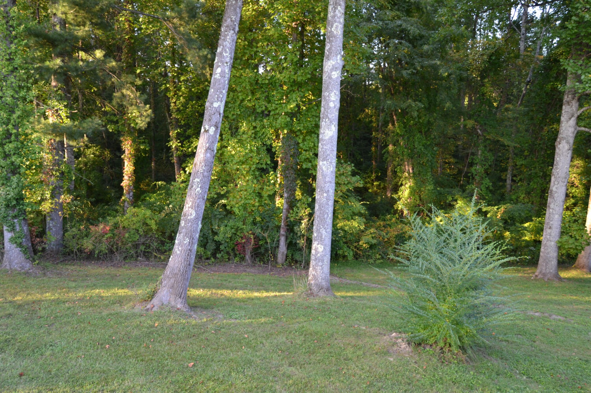 5267 Creston Road Crossville, TN 38571 - Photo 34 of 37 Gallery Image 34
