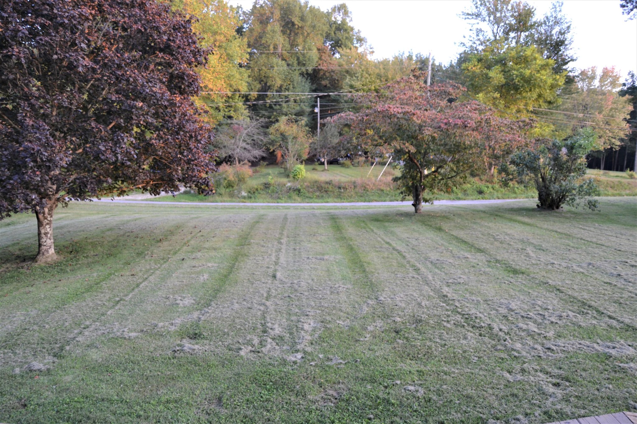 5267 Creston Road Crossville, TN 38571 - Photo 37 of 37 Gallery Image 37