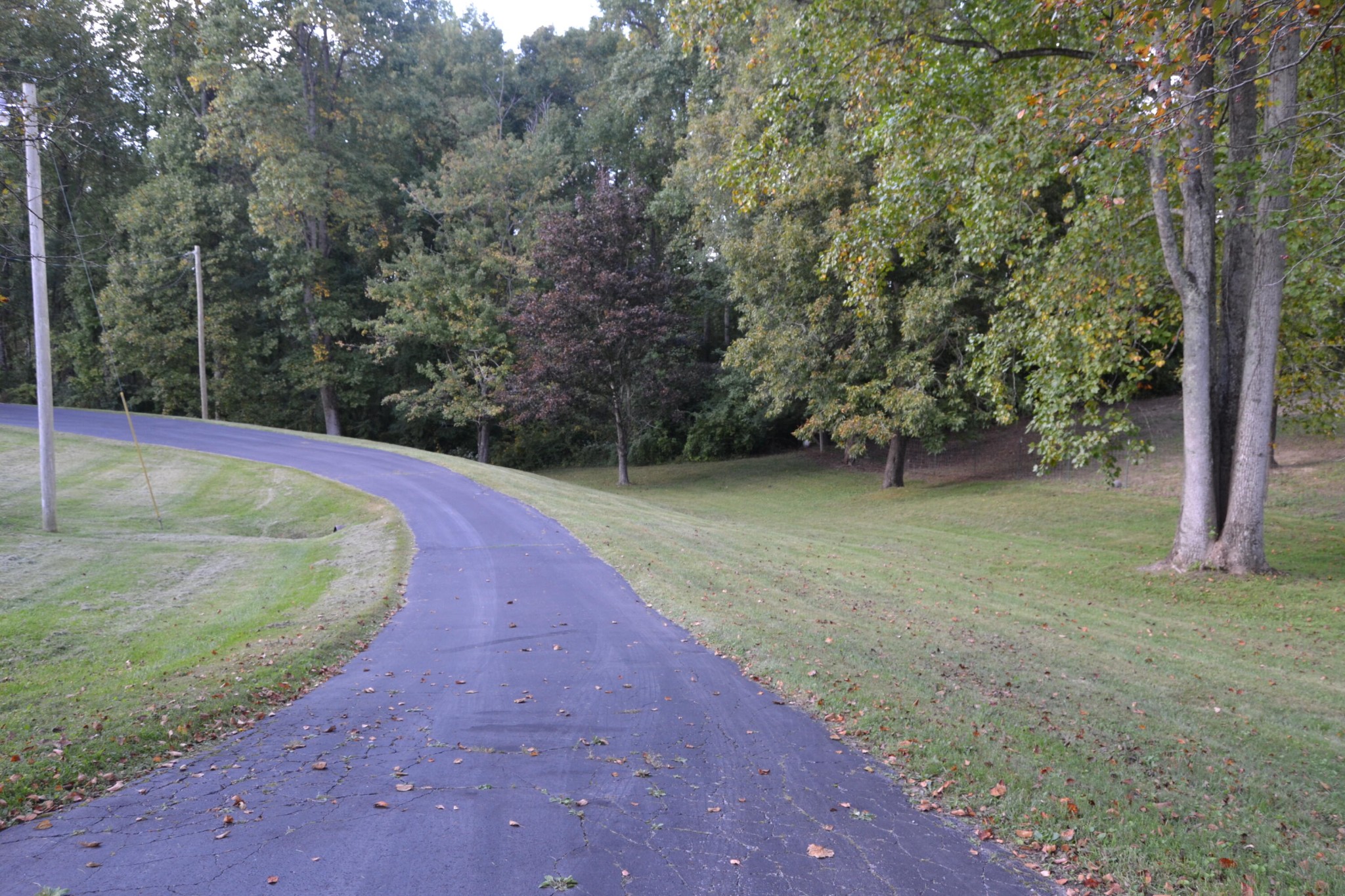 5267 Creston Road Crossville, TN 38571 - Photo 8 of 37 Gallery Image 8