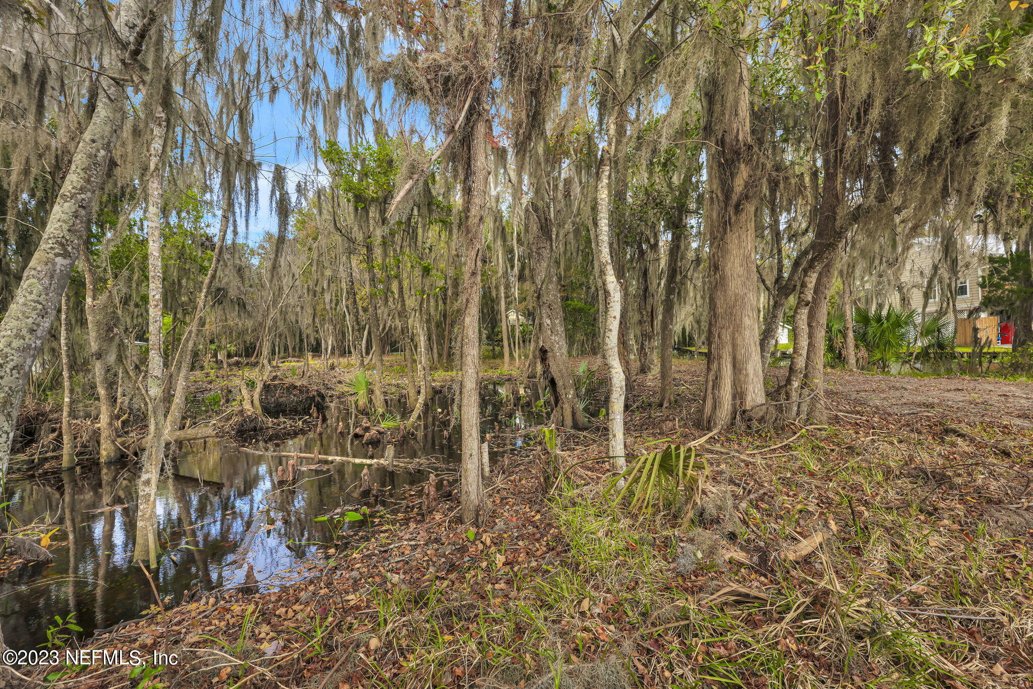 8515 Florence Cove Road St. Augustine, FL 32092 - Photo 13 of 25 South Corner