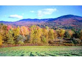 F Cross Road Stowe, VT 05672 - Photo 1 of 1