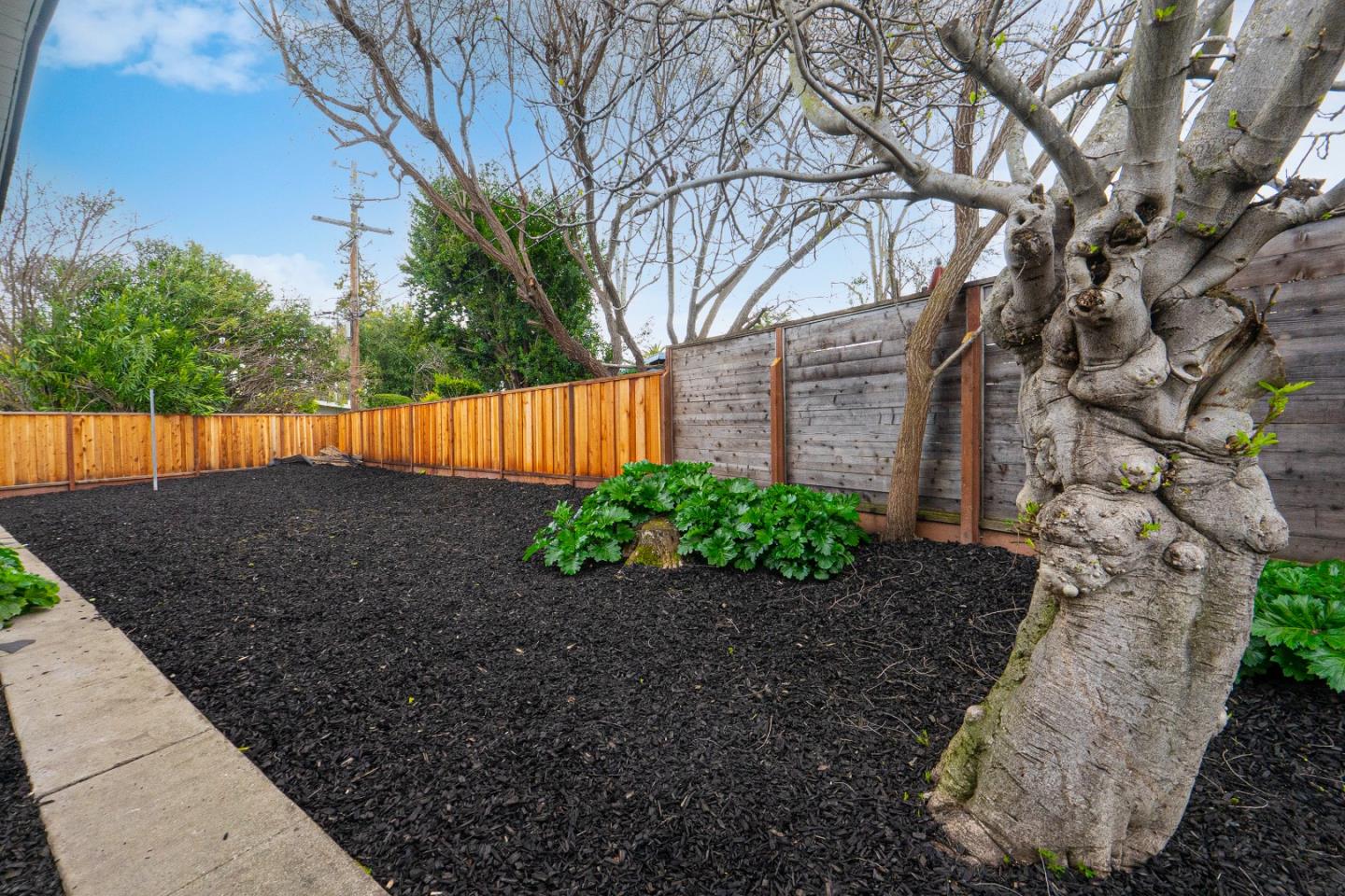 369 Ruth Avenue Mountain View, CA 94043 - Photo 31 of 33 a backyard of a house with lots of green space