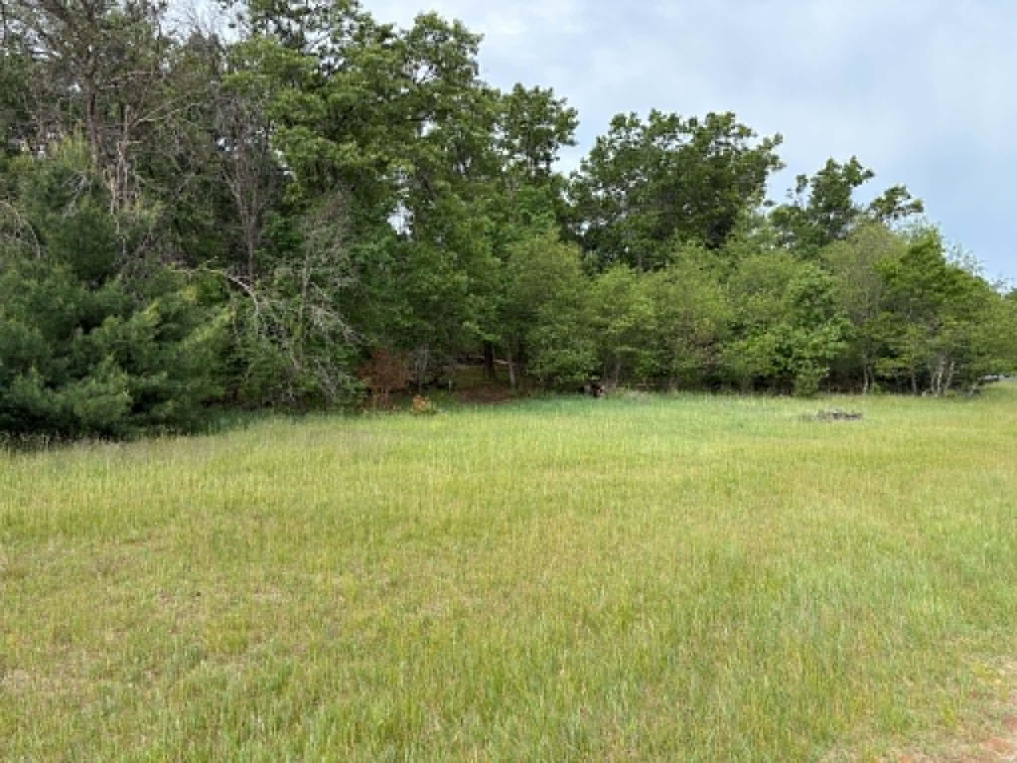 Lot 13 19th Friendship, WI 53934 - Photo 5 of 18