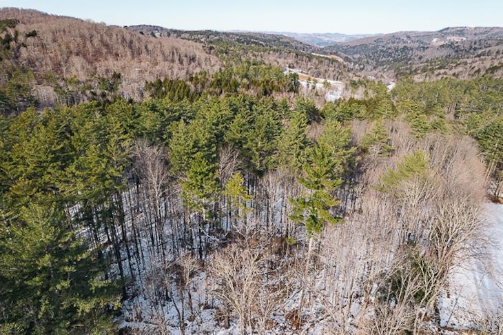 0 Bryant Road, Unit LOT 1 Woodstock, VT 05091 - Photo 10 of 15