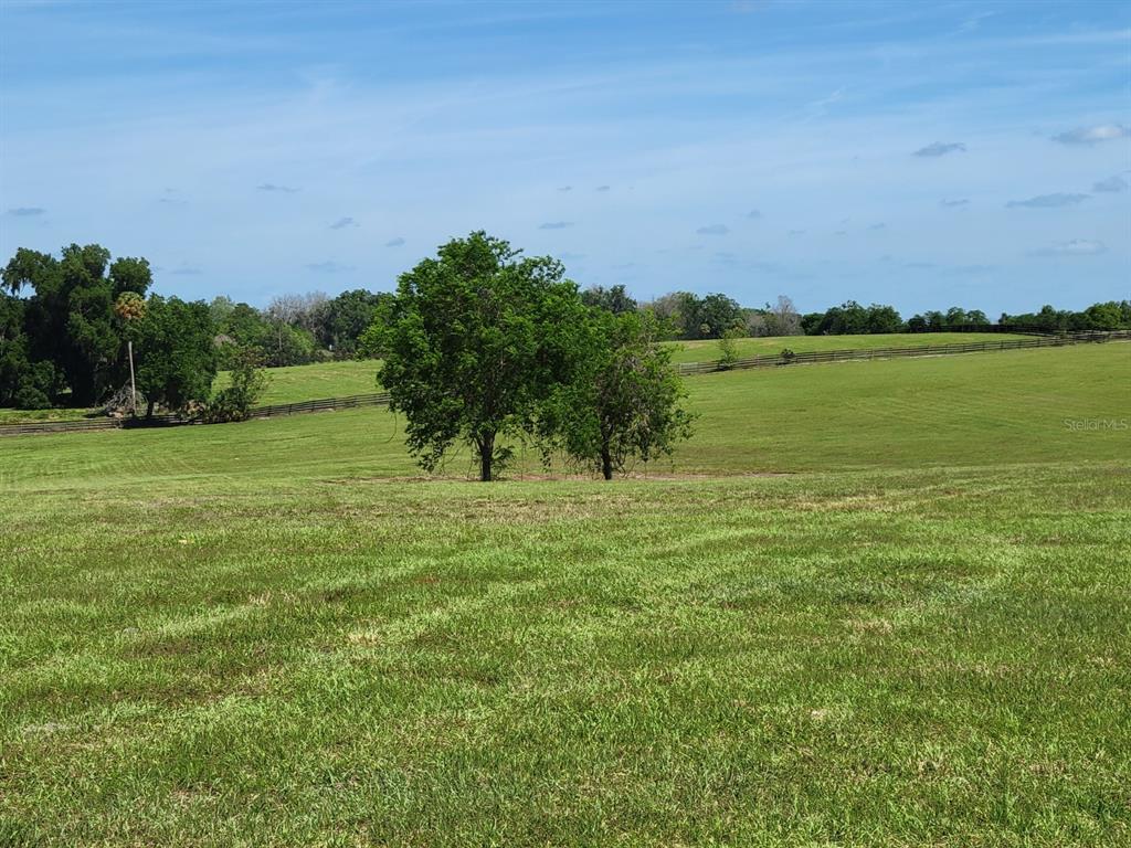 a view of a field with an trees in front of it