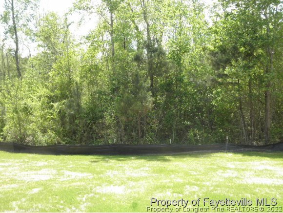4629 Crystobal Road Fayetteville, NC 28311 - Photo 19 of 19 Gallery Image 19