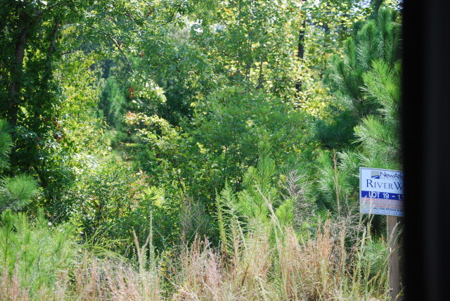 Lot 19 Rivers Edge Drive, Unit 19 Forsyth, GA 31029 - Photo 1 of 1 a close up of a plant in a garden