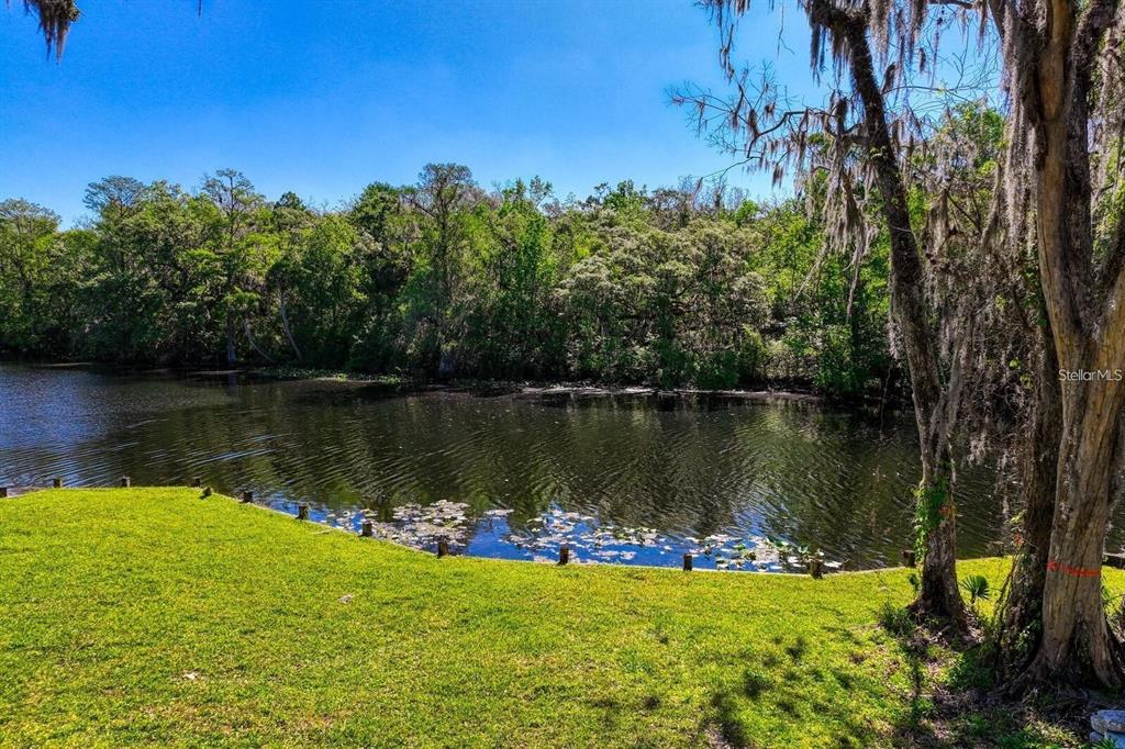 7810 Terrace Oaks Court Temple Terrace, FL 33617 - Photo 11 of 18 a view of a lake