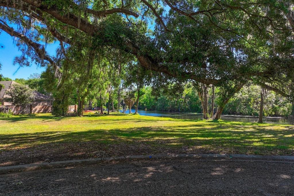 7810 Terrace Oaks Court Temple Terrace, FL 33617 - Photo 15 of 18 a view of a swimming pool with a big yard and large trees