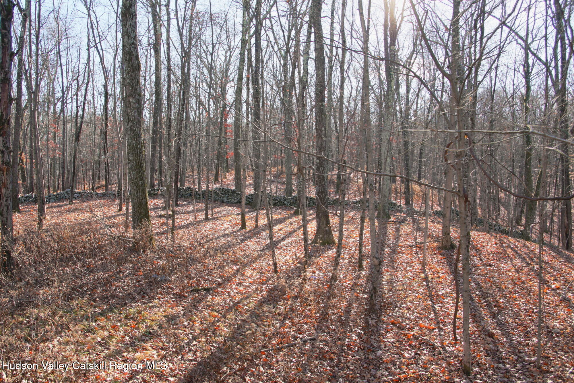 5 Electronics Road Staatsburg, NY 12580 - Photo 11 of 19 a view of outdoor space with lots of trees