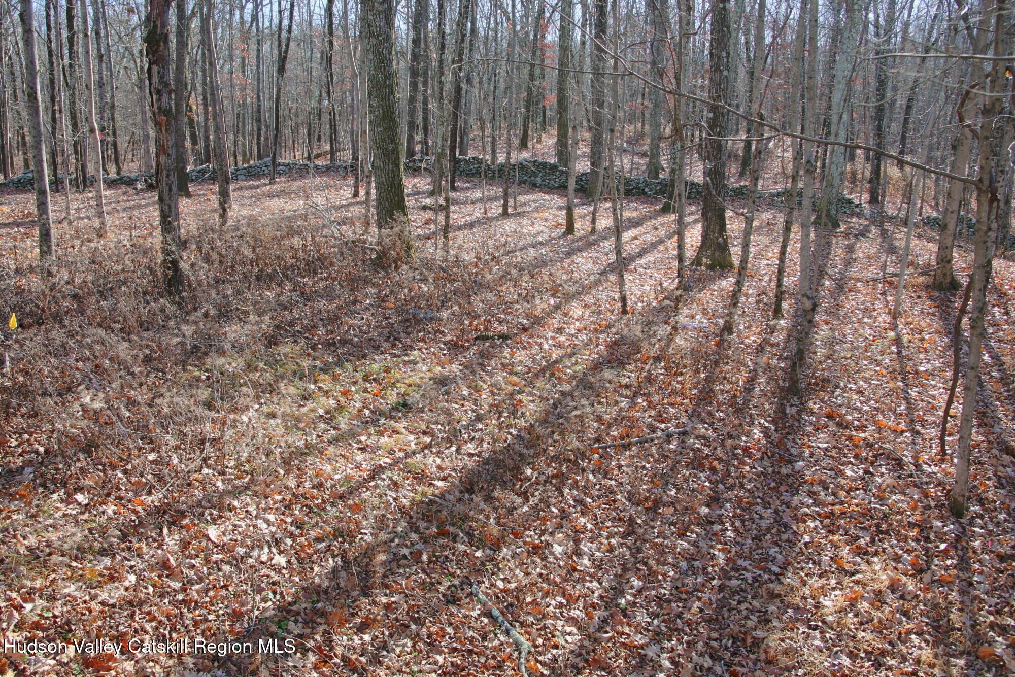 5 Electronics Road Staatsburg, NY 12580 - Photo 12 of 19 a view of outdoor space with wooden fence