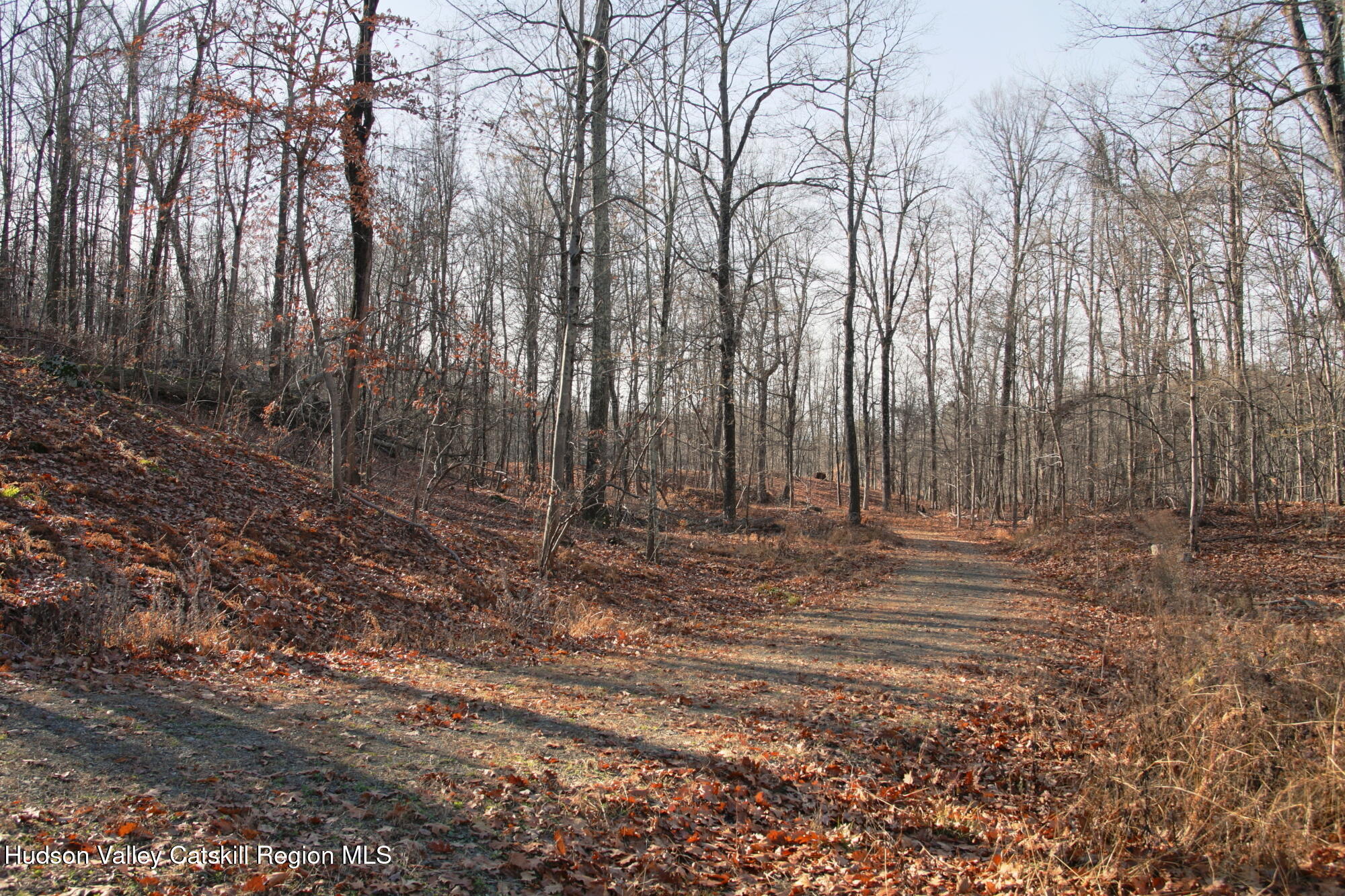5 Electronics Road Staatsburg, NY 12580 - Photo 15 of 19 a view of yard with trees