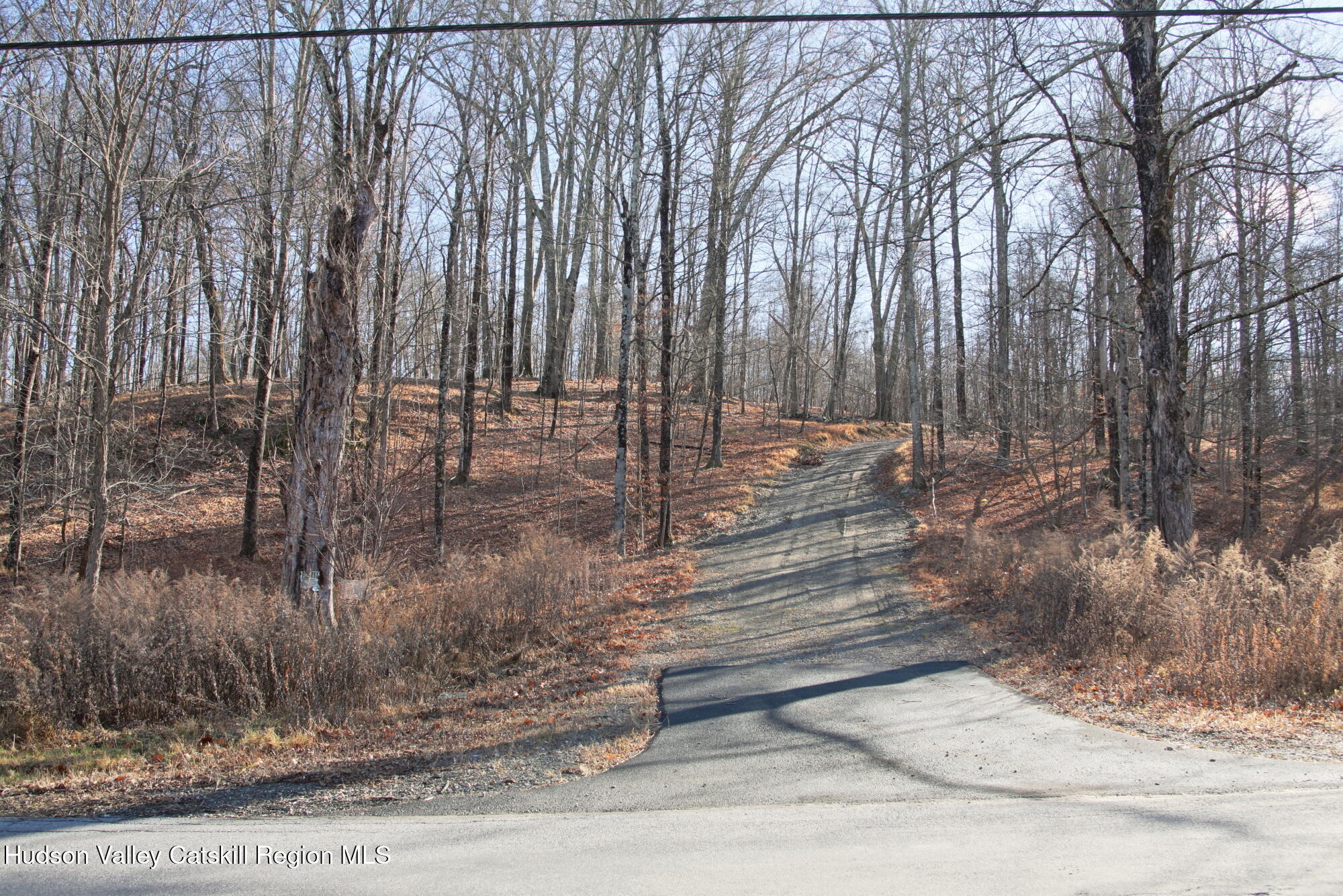 5 Electronics Road Staatsburg, NY 12580 - Photo 2 of 19 a view of lot of trees