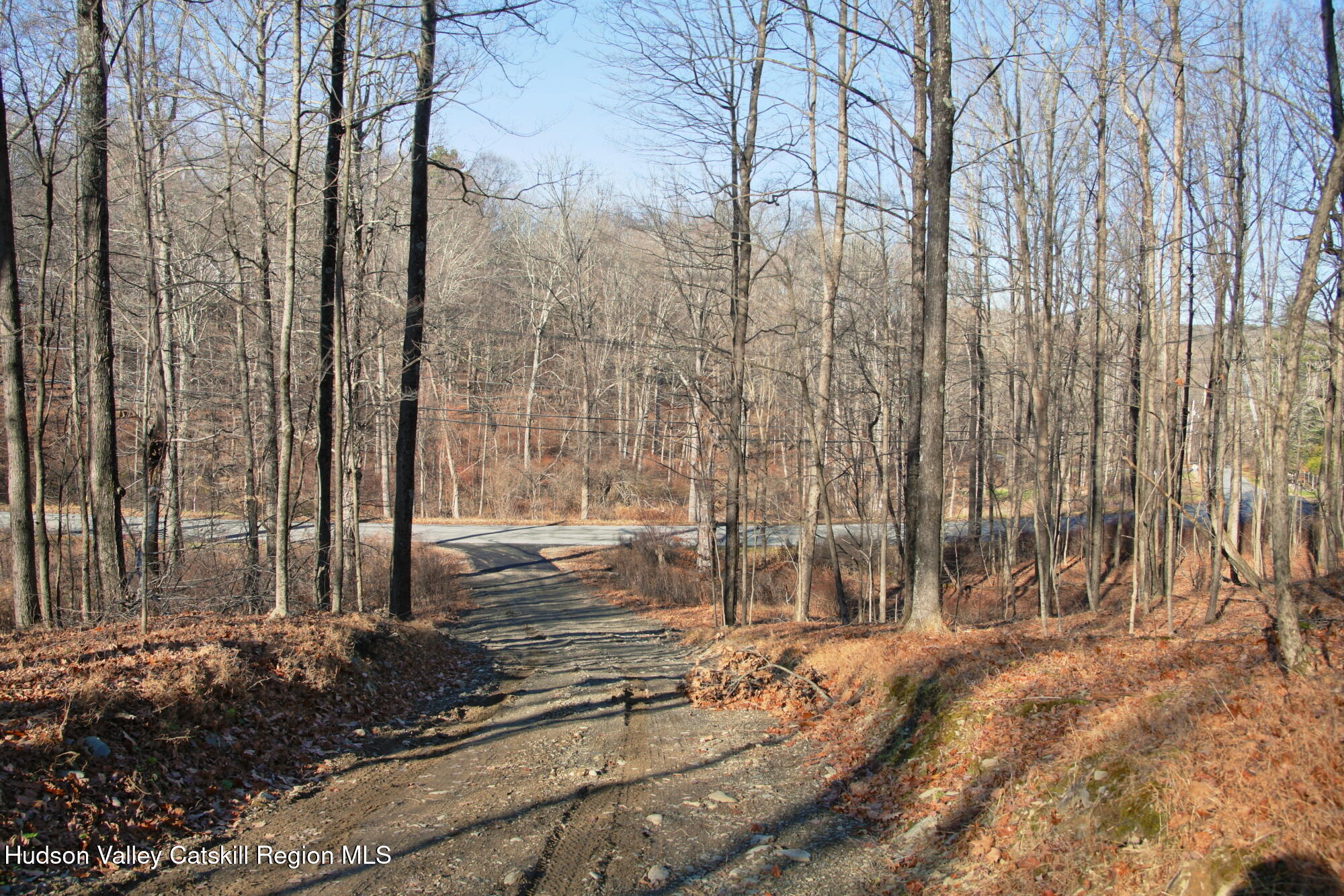 5 Electronics Road Staatsburg, NY 12580 - Photo 4 of 19 a view of a backyard of a house