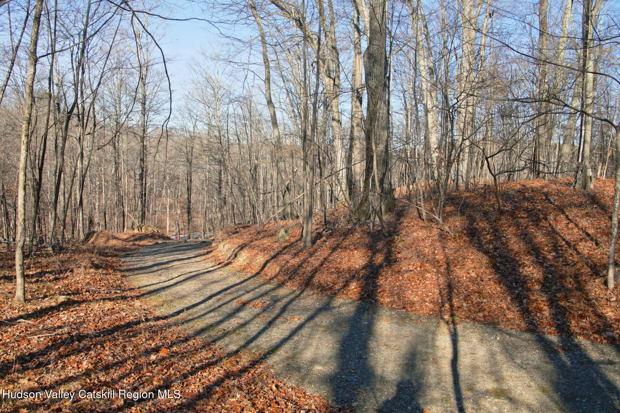 5 Electronics Road Staatsburg, NY 12580 - Photo 6 of 19 a view of a yard