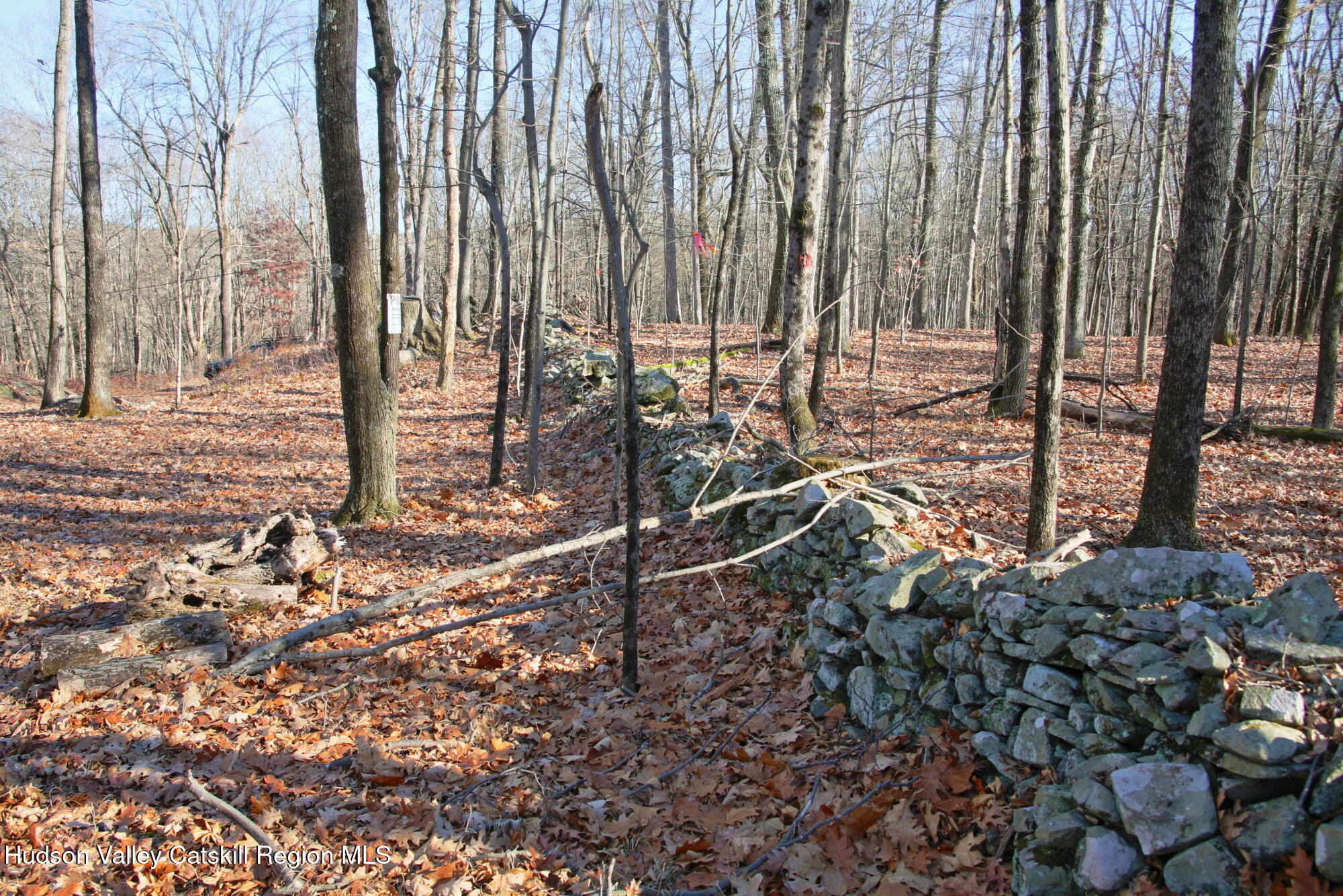 5 Electronics Road Staatsburg, NY 12580 - Photo 9 of 19 a view of a yard with sitting area