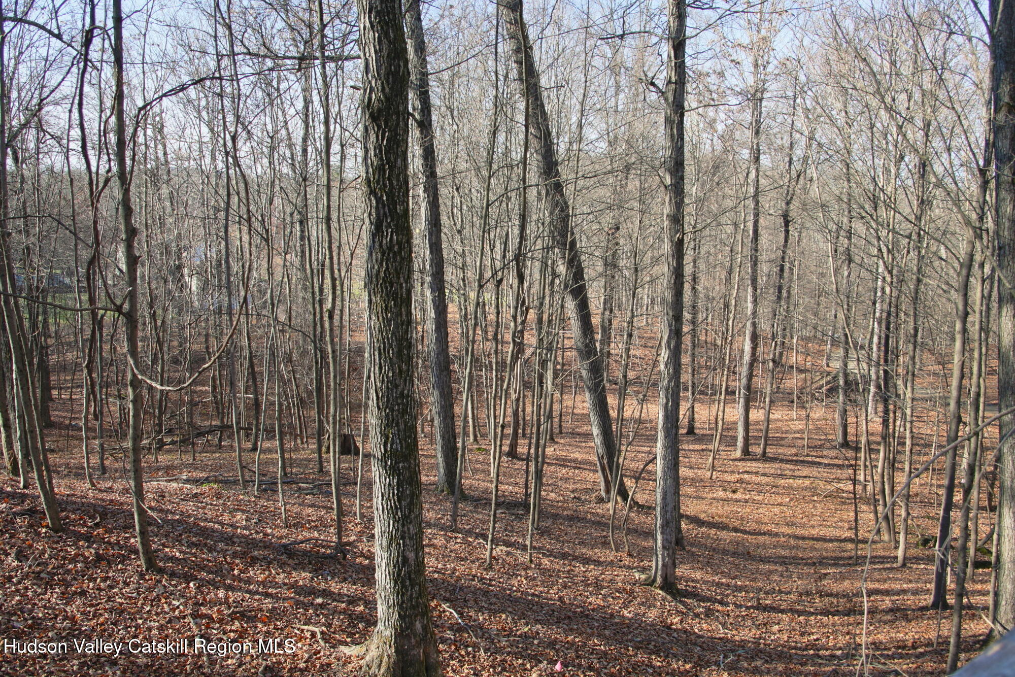 5 Electronics Road Staatsburg, NY 12580 - Photo 10 of 19 a view of a pathway with a backyard