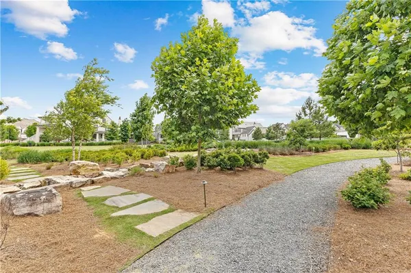 a view of a park with large trees