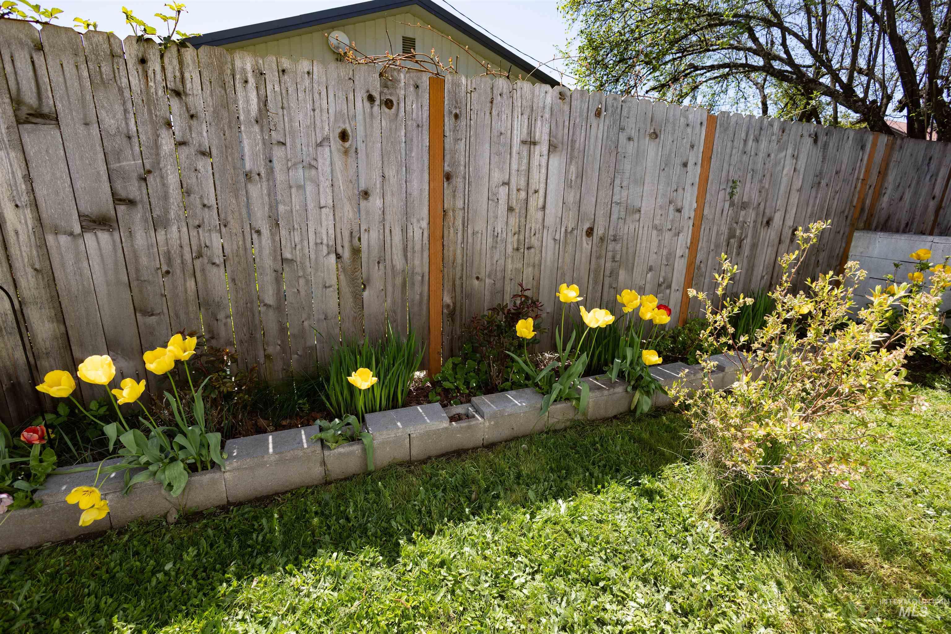 712 Hill Street Kamiah, ID 83536 - Photo 4 of 41 Backyard space featuring a wooden privacy fence, a bed of yellow tulips, and a manicured lawn
