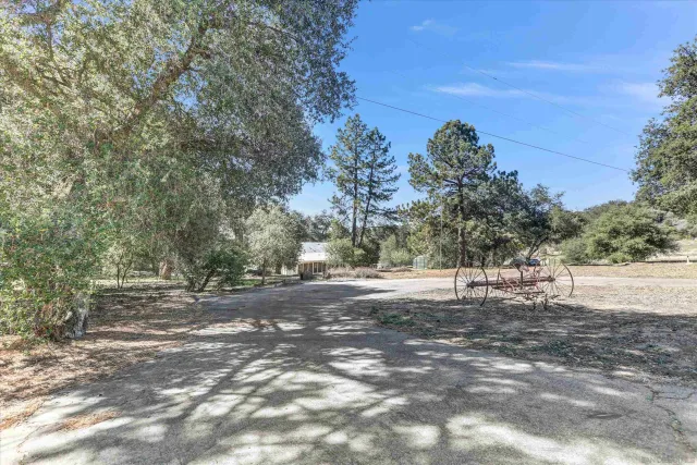 a view of a dry yard with trees and stairs