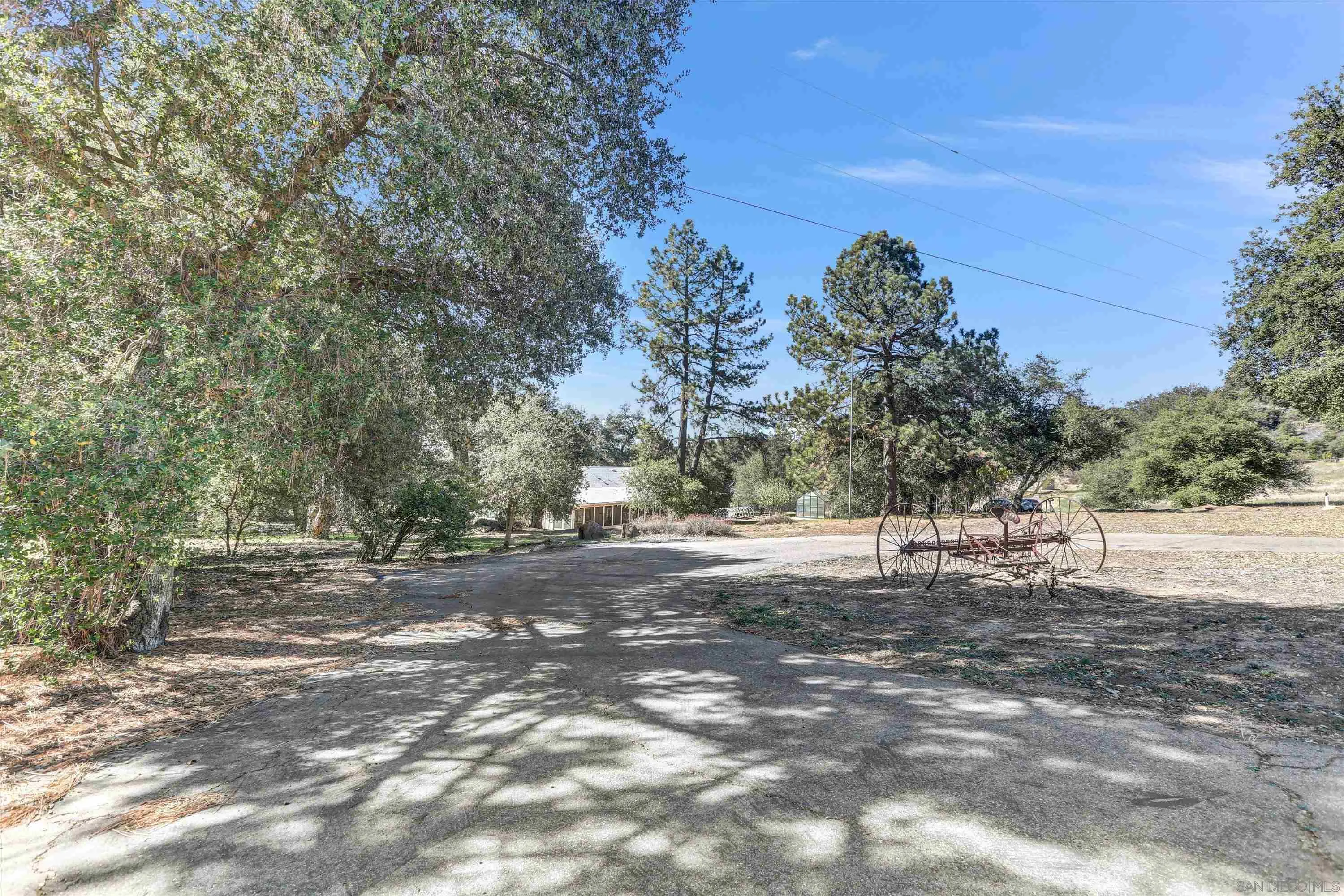 3258 Pine Hills Road Julian, CA 92036 - Photo 36 of 72 a view of dirt yard with a large tree
