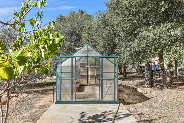 a view of a yard with a tree