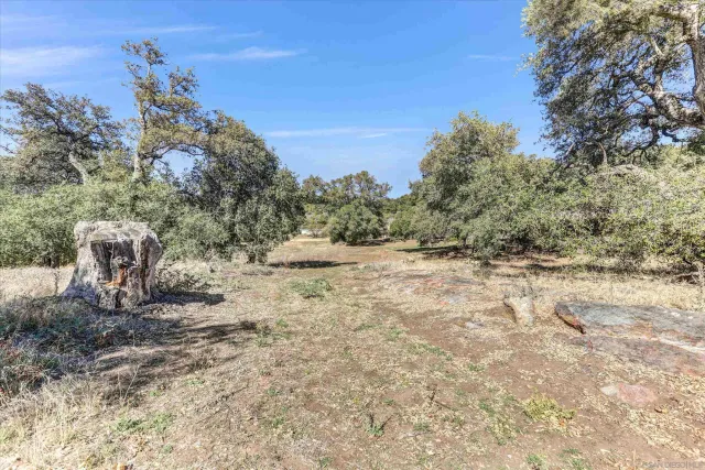 an aerial view of residential house and green space