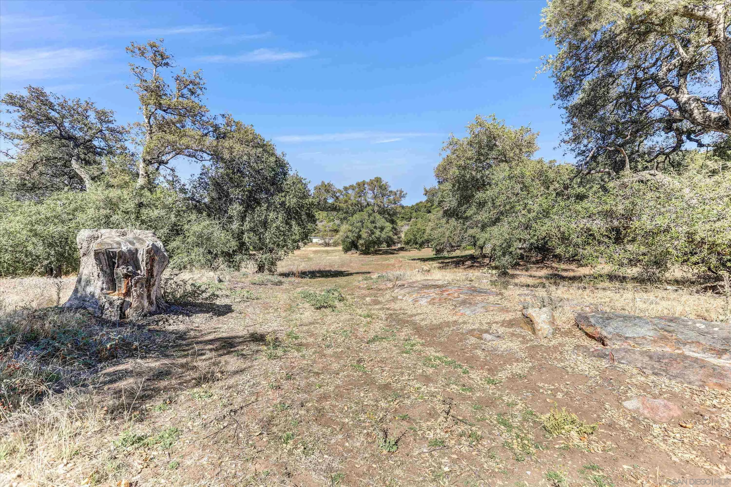 3258 Pine Hills Road Julian, CA 92036 - Photo 46 of 72 a view of a dry yard with trees and stairs